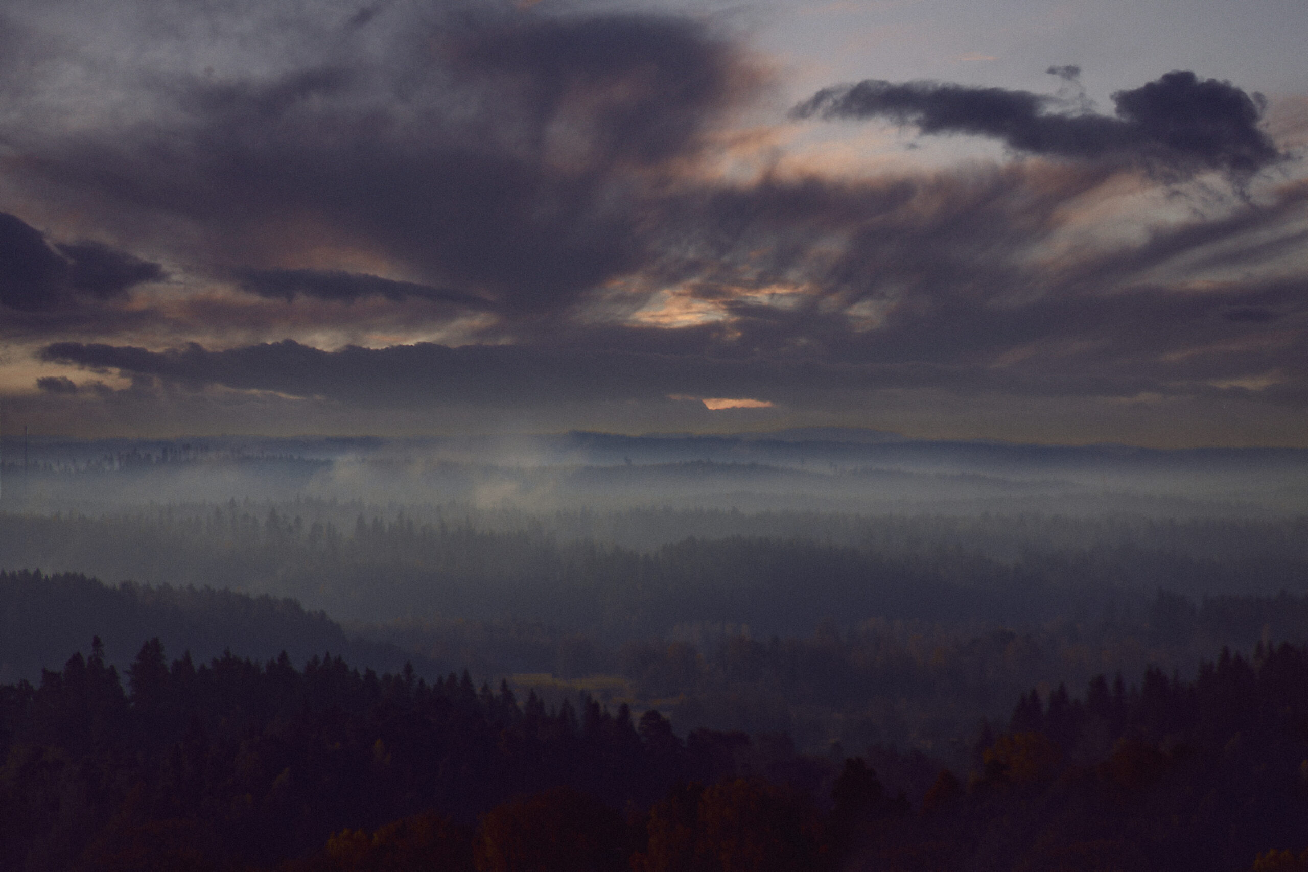 twilight